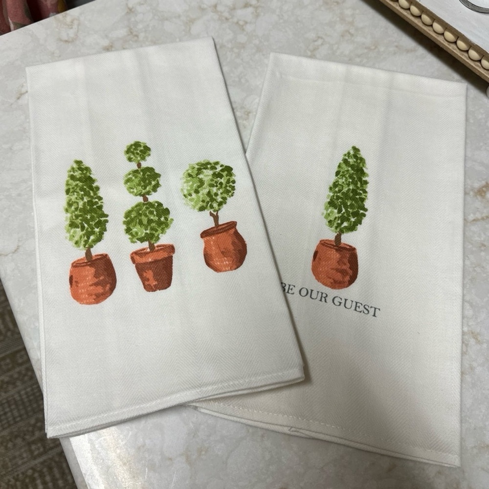 Two Mud Pie Guest Towels